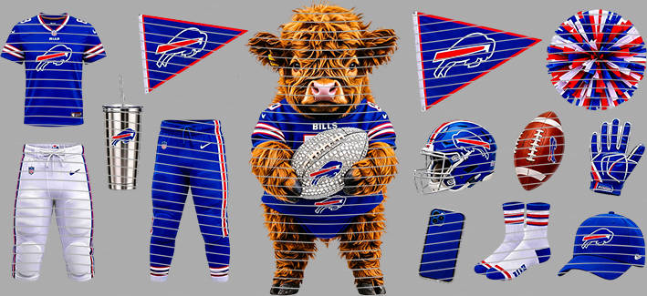 16oz team-NFL 3444
